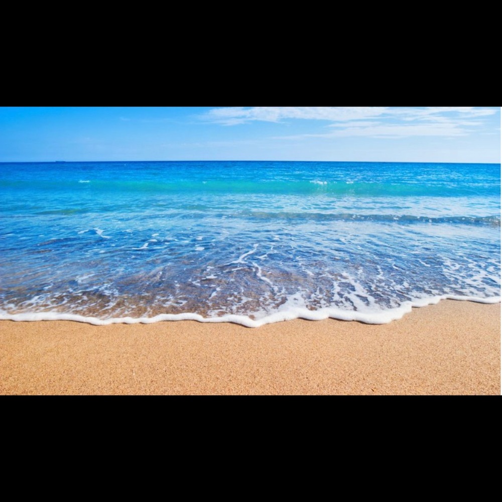 Meet your Posher, Whitney